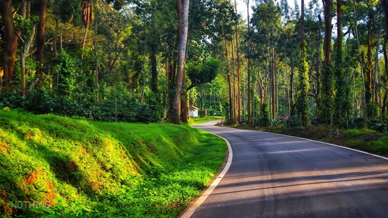 Coorg Divine Spark Home Stay Suntikoppa Exterior foto
